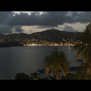 Meet your Posher, Phoebe